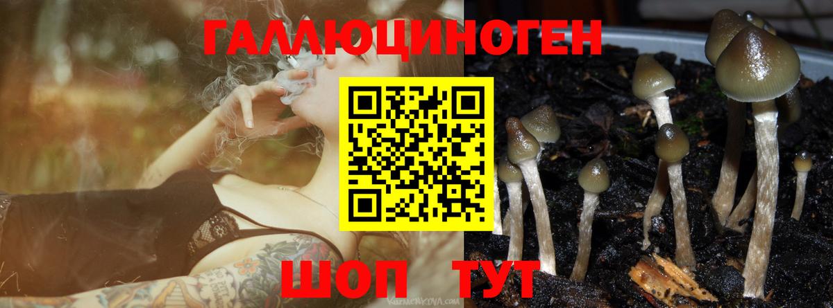 Псилоцибиновые грибы ЛСД Губкинский